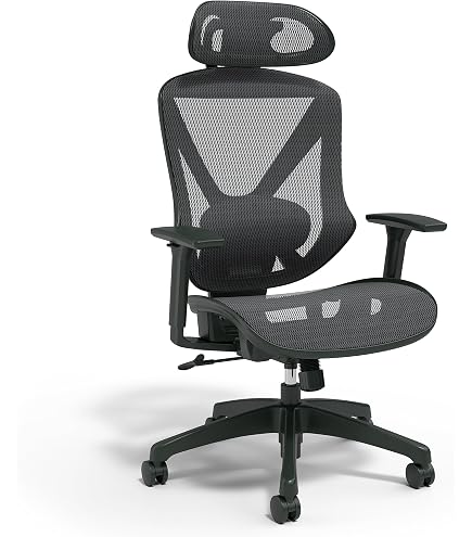 Amazon.com: Staples Dexley Ergonomic Mesh Task Chair, Lumbar